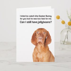Easter Bunny Was Too Fast (Vizsla) - Greeting Card