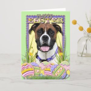 Easter Egg Cookies - Boxer Holiday Card