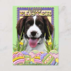 Easter Egg Cookies - English Springer Spaniel Holiday Postcard