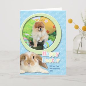 Easter - Pomeranian - Dexter Holiday Card