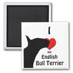 English Bull Terrier Fridge Magnet