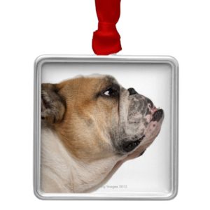 English Bulldog (6 years old) Metal Ornament