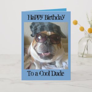 English Bulldog Birthday Card, Cool Dude Card