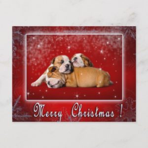 English Bulldog Christmas card
