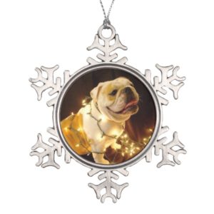 English bulldog Christmas ornament