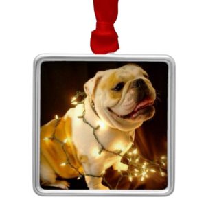 English bulldog Christmas tree ornament