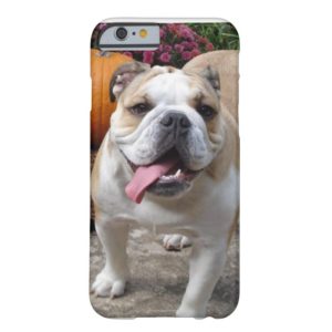 English Bulldog Cute Funny iPhone 6 case covers ca