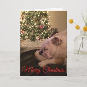 English Bulldog Dreaming Christmas Card