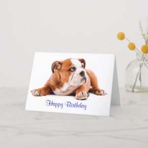 English Bulldog Happy Birthday Card - Verse inside