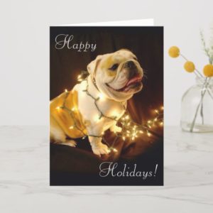 English bulldog holiday greeting card
