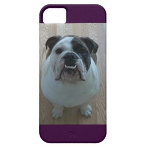 English bulldog iPhone 5 case holder