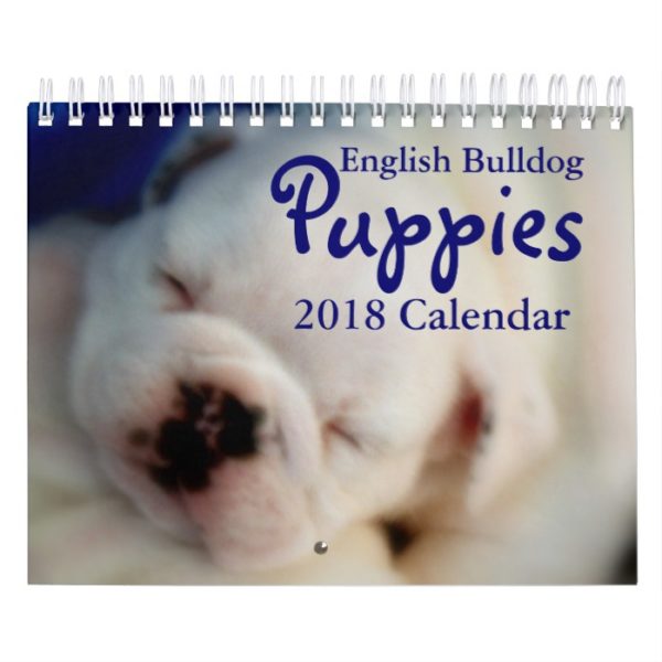 English Bulldog Puppies 2018 Calendar
