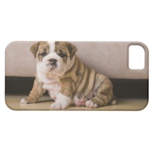 English bulldog puppies Case-Mate iPhone case