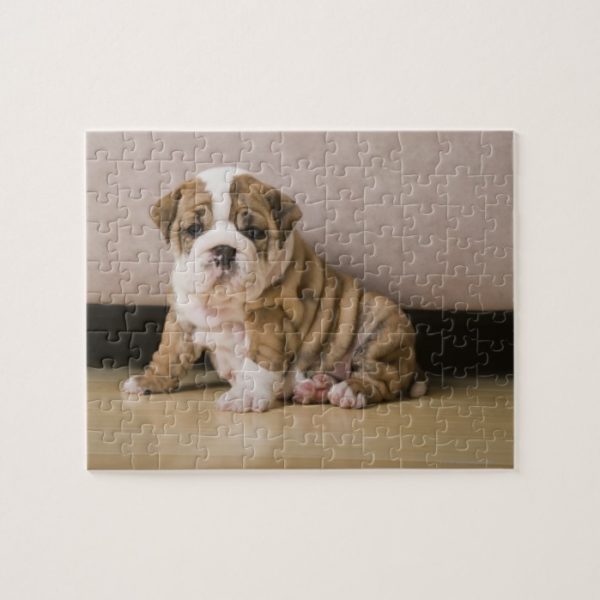 English bulldog puppies jigsaw puzzle