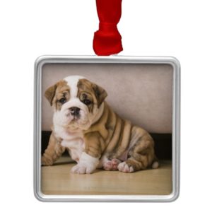 English bulldog puppies metal ornament