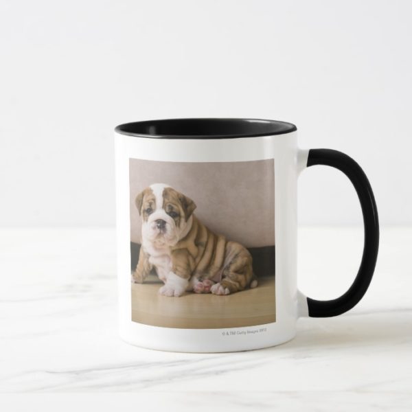 English bulldog puppies mug