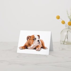 English Bulldog Puppy Blank Note Card