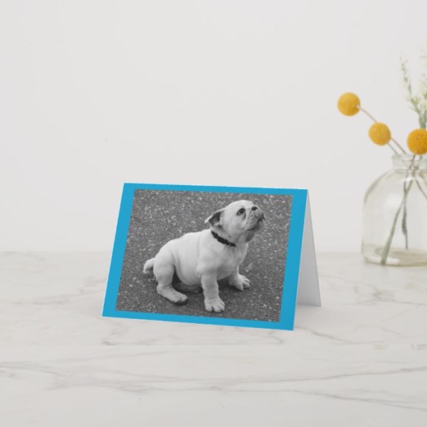 English Bulldog Puppy Dog Blank Greeting Note Card