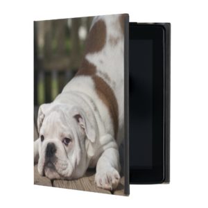 English Bulldog Puppy iPad Cover
