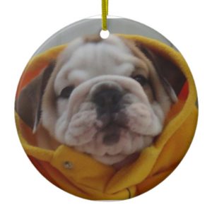 English Bulldog Puppy Ornament