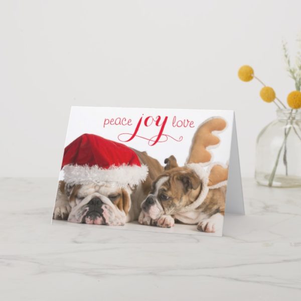 English Bulldog Santa And Reindeer Holiday Card