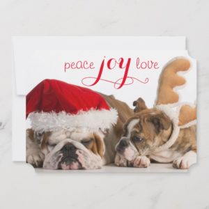 English Bulldog Santa And Reindeer Holiday Card