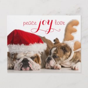 English Bulldog Santa And Reindeer Holiday Postcard