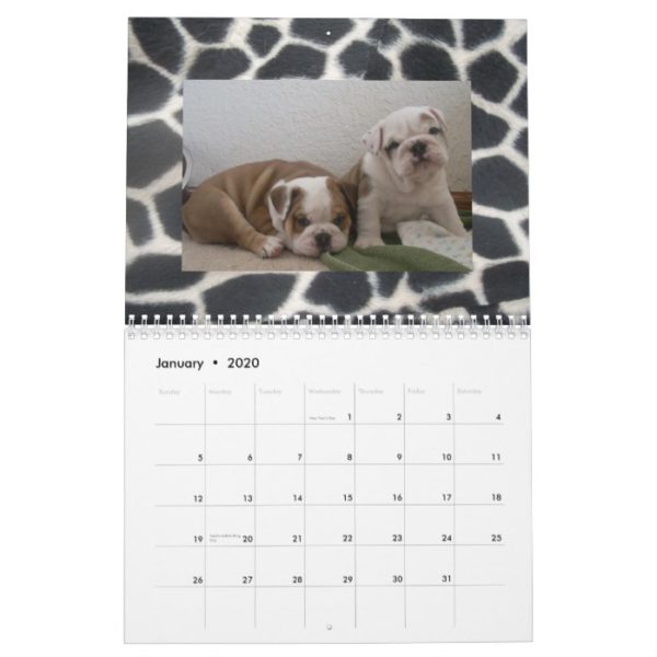 English Bulldogs & Puppies Calendar! Calendar
