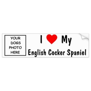 English Cocker Spaniel Bumper Sticker