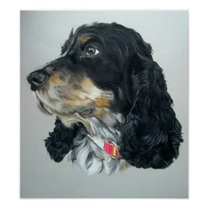 English Cocker Spaniel Dog Poster Print
