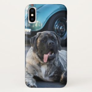 English Mastiff dog iPhone X case