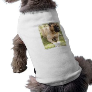 English Mastiff Dog Shirt