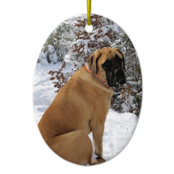 English Mastiff dog "Snow Pose" photo Ceramic Ornament