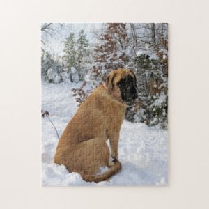 English Mastiff dog "Snow Pose" photo puzzle