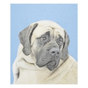 English Mastiff (Fawn) Painting - Original Dog Art Fleece Blanket