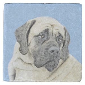 English Mastiff (Fawn) Painting - Original Dog Art Stone Coaster
