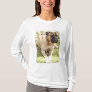 English Mastiff Ladies Long Sleeve T-Shirt