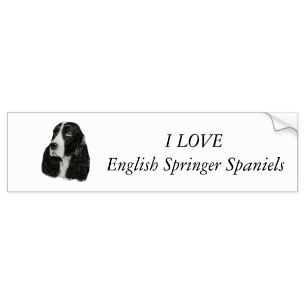 English Springer Spaniel Bumper Sticker