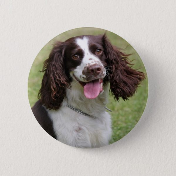 English Springer Spaniel dog beautiful photo, gift Button