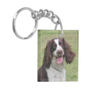 English Springer Spaniel dog beautiful photo, gift Keychain