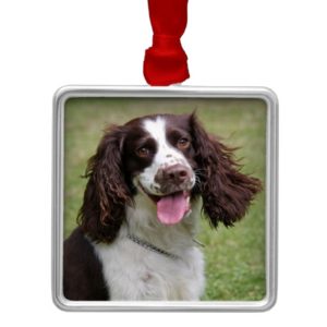 English Springer Spaniel dog beautiful photo, gift Metal Ornament