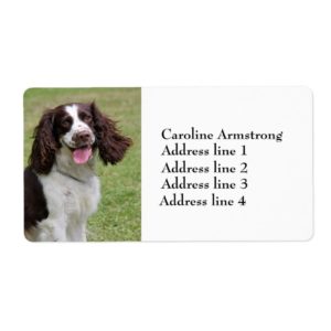 English Springer Spaniel dog custom address labels