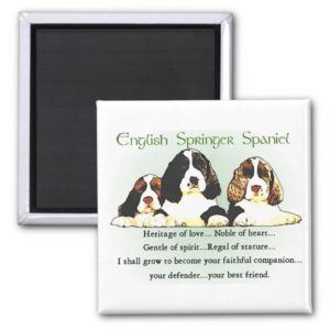 English Springer Spaniel Gifts Magnet