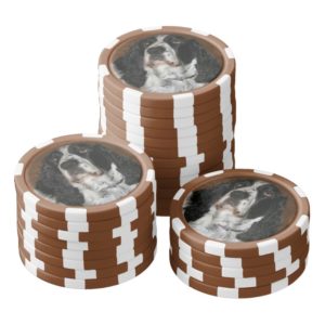 English Springer Spaniel Photo Poker Chips Set