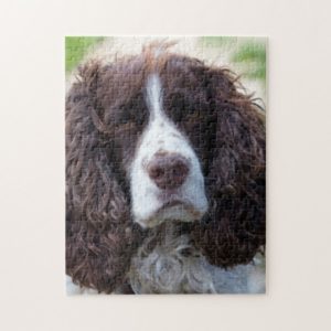 english springer spaniel.png jigsaw puzzle