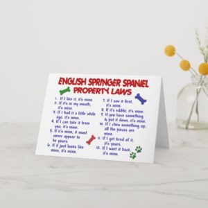 ENGLISH SPRINGER SPANIEL Property Laws 2 Card