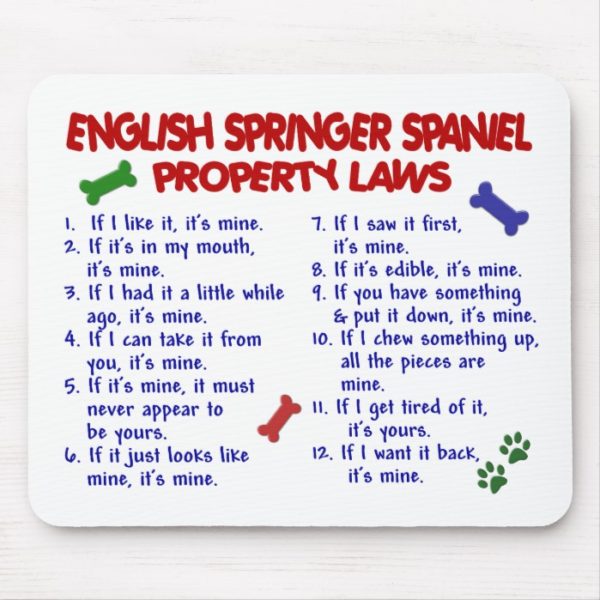 ENGLISH SPRINGER SPANIEL Property Laws 2 Mouse Pad