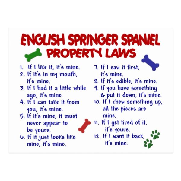 ENGLISH SPRINGER SPANIEL Property Laws 2 Postcard