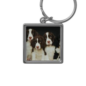 English Springer Spaniel Puppies (2) Keychain