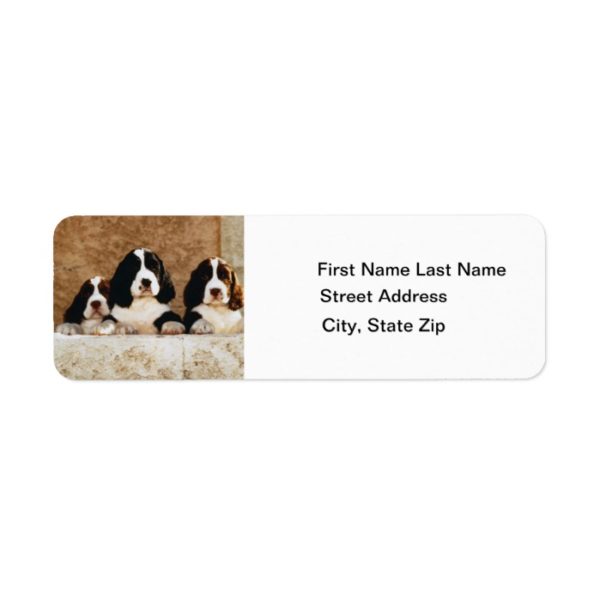 English Springer Spaniel Puppies Label